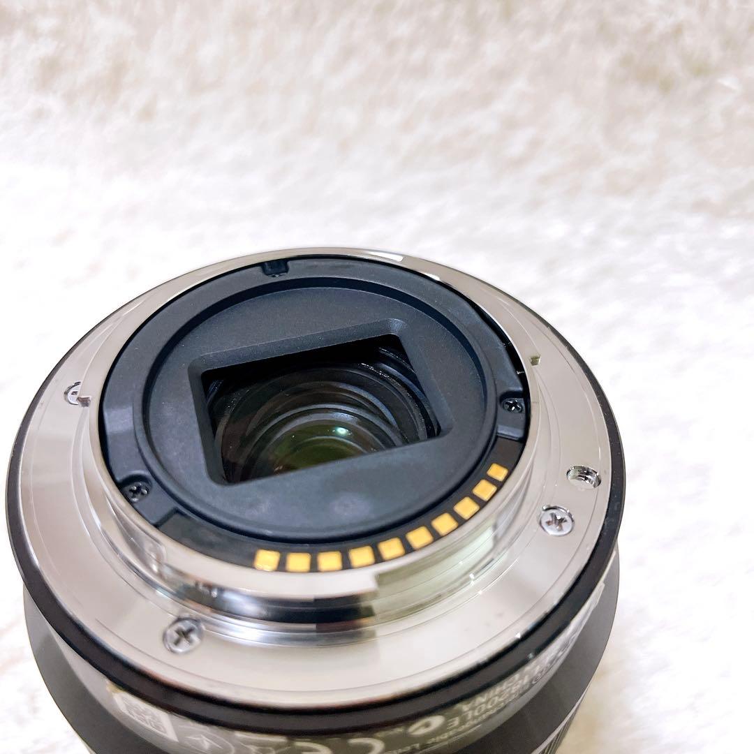 Sony E 18-200mm F3.5-6.3 OSS LE レンズ