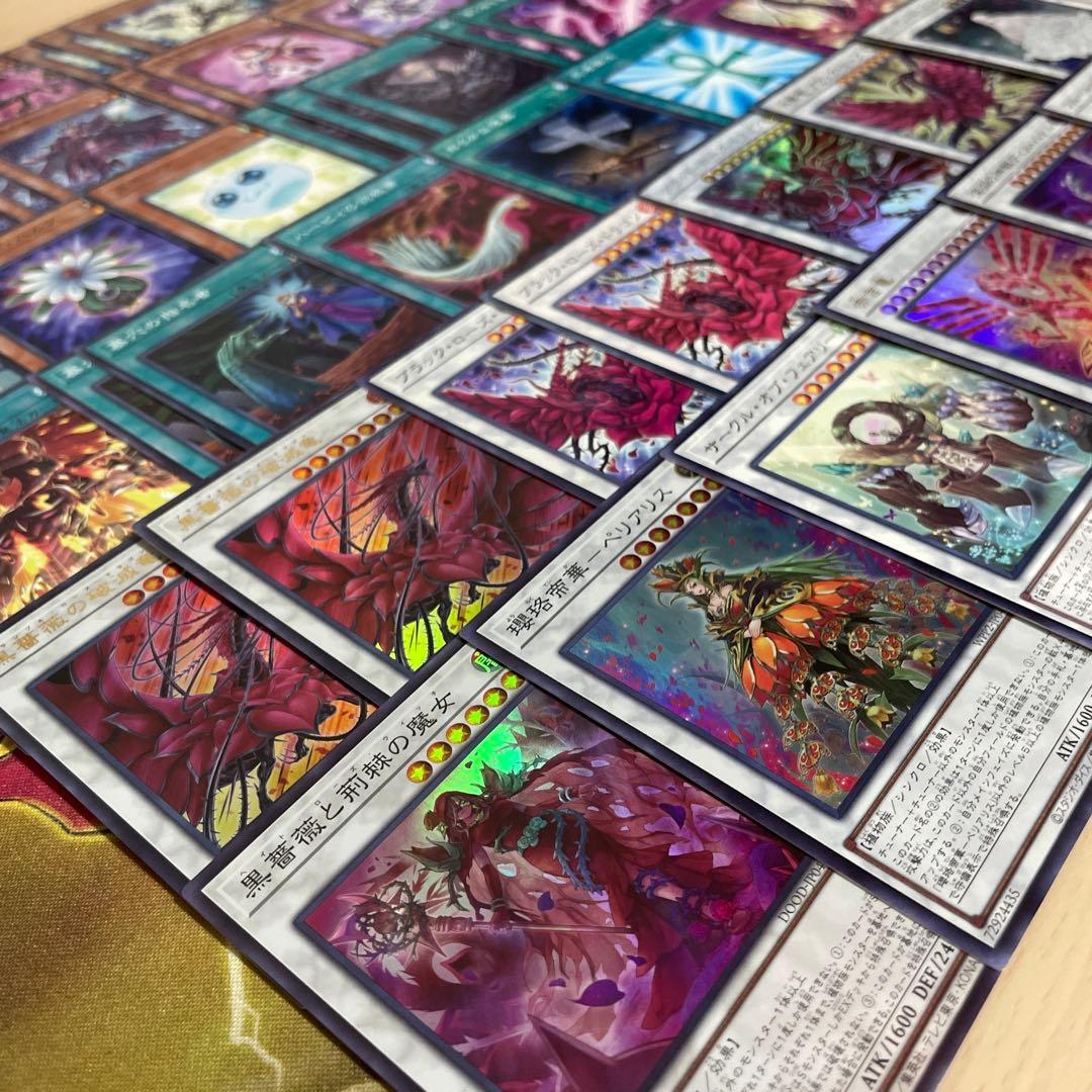 本格構築 ローズドラゴンデッキ レッドローズドラゴン 黒薔薇の破滅竜