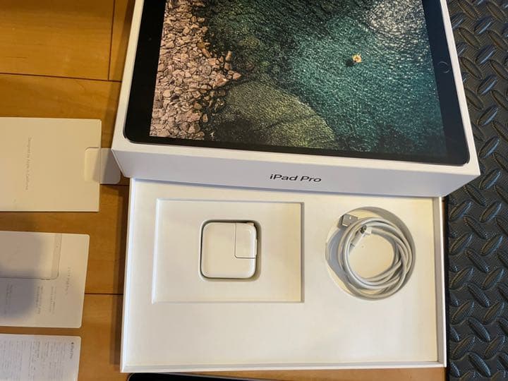 iPad Pro10.5インチ【少しジャンク】iPad Pro 10.5インチ256GB Wi-Fi