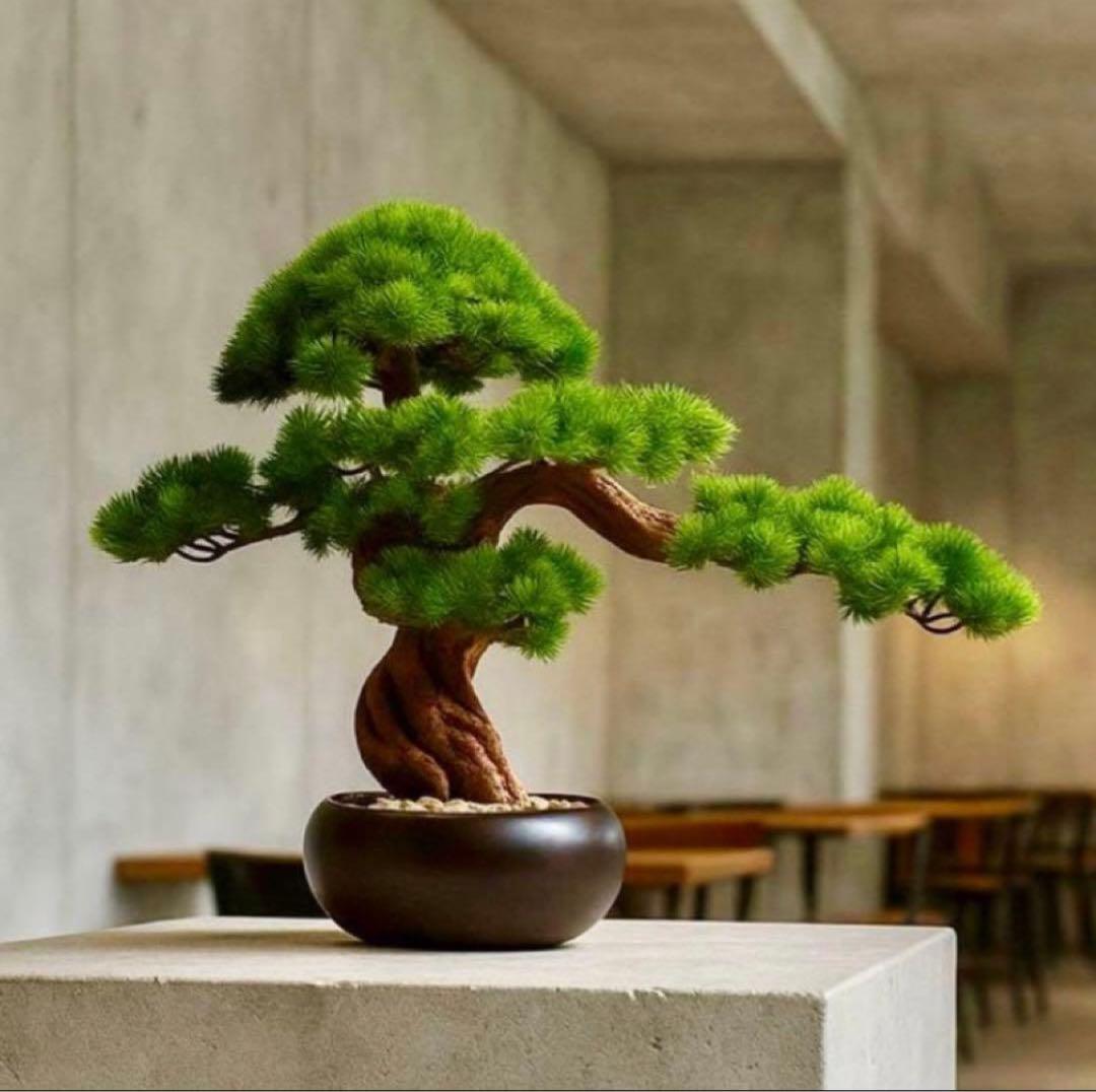 フェイク盆栽 盆栽 松 人工盆栽 フェイクグリーン 高品質 大型 幅50cm 楽天市場】盆栽 松 フェイクグリーン おしゃれ 人気 造花 リアル