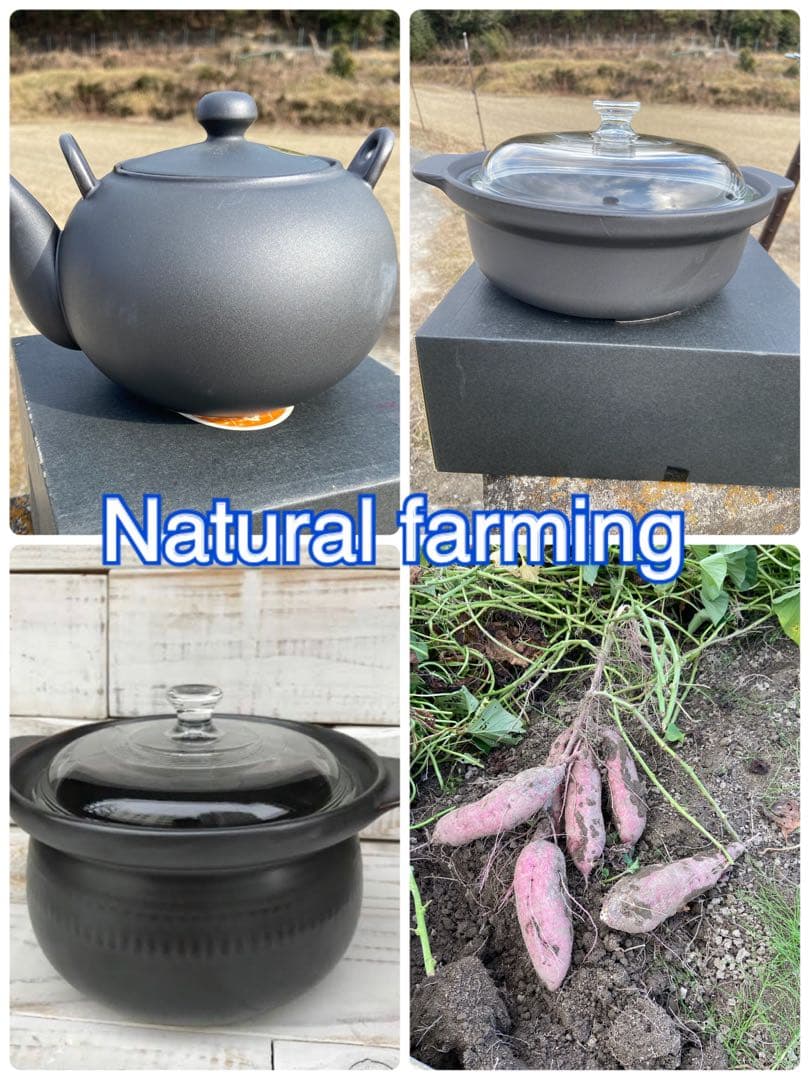 Natural farming 食美肌 重ね煮 シュタイナー 教育 自然療法