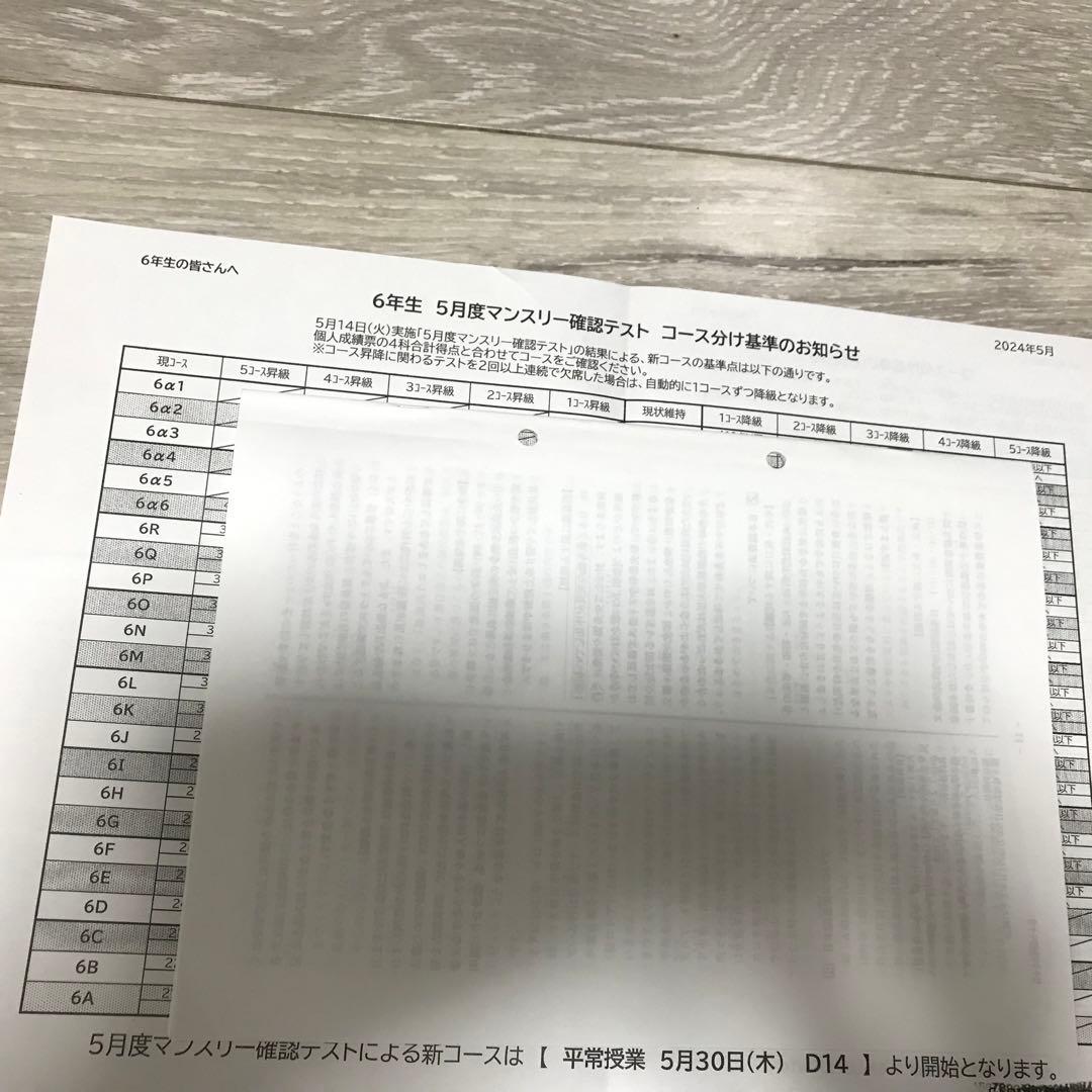 サピックスSAPIX 6年生5月 マンスリー 確認テスト 2024年度用 - メルカリ