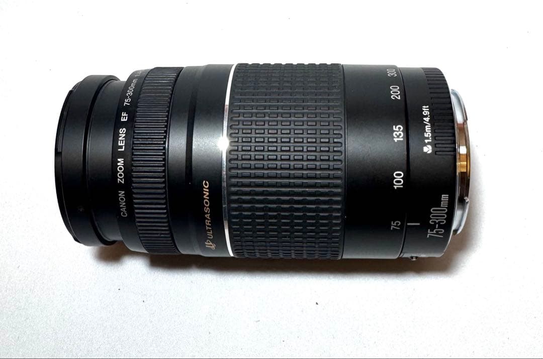 レンズ(ズーム) Canon EF 75-300mm F/4-5.6 III #2078