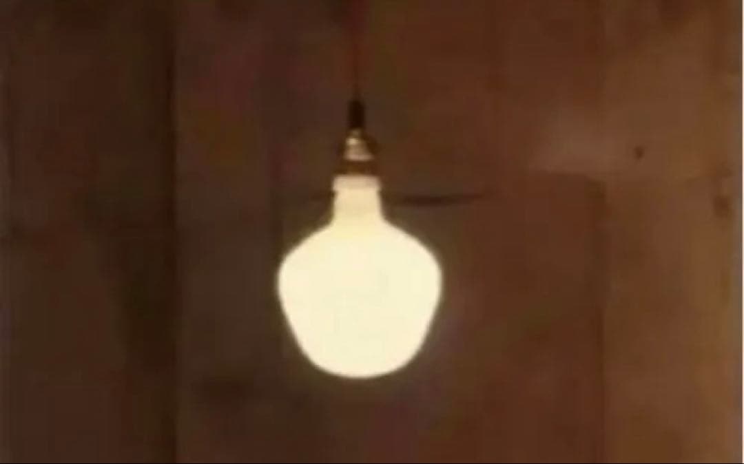 DETAIL LED電球 LEDバルブ NT130 大きな電球 - メルカリ