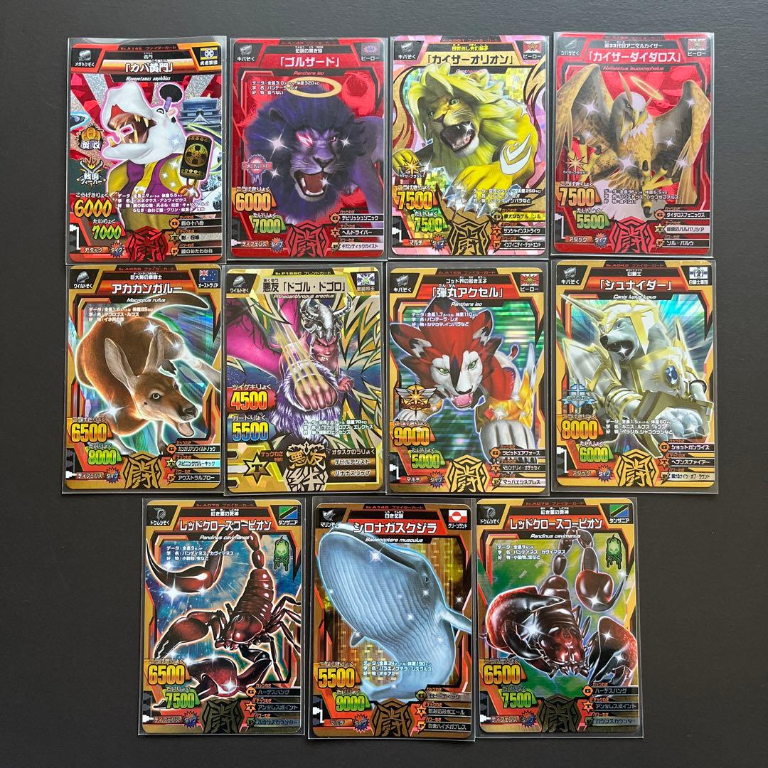 グレートアニマルカイザー カード セット 2 - メルカリ