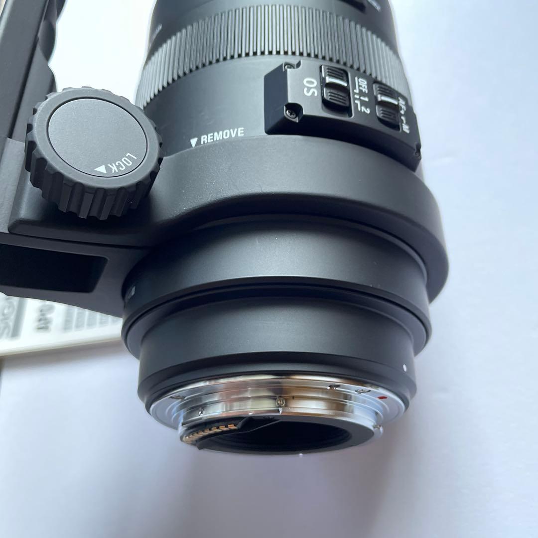 SIGMA 120-400mm F4.5-5.6 APO DG OS ズーム