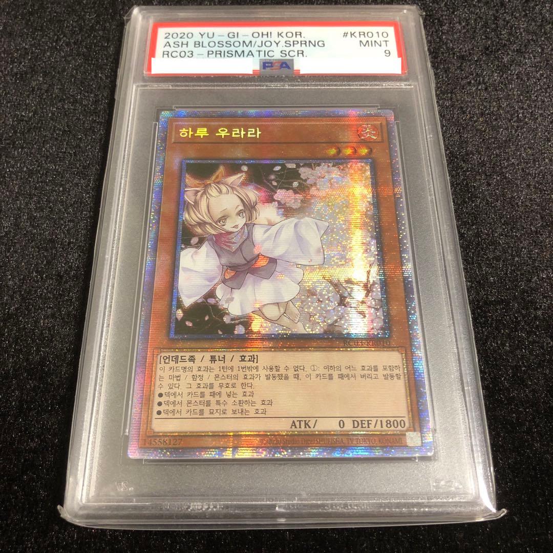 遊戯王 灰流うらら プリシク 韓国語 PSA 鑑定品