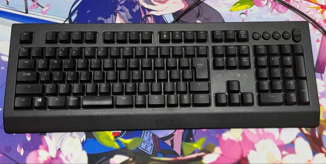 Razer Cynosa V2 JP ゲーミングキーボード Amazon.co.jp: Razer Cynosa V2 JP ゲーミングキーボード 日本語配列