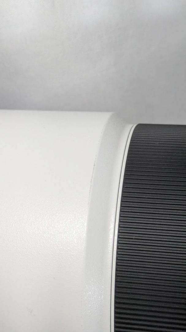 レンズ(ズーム) FE200-600mm F5.6-6.3 G OSS SEL200600G