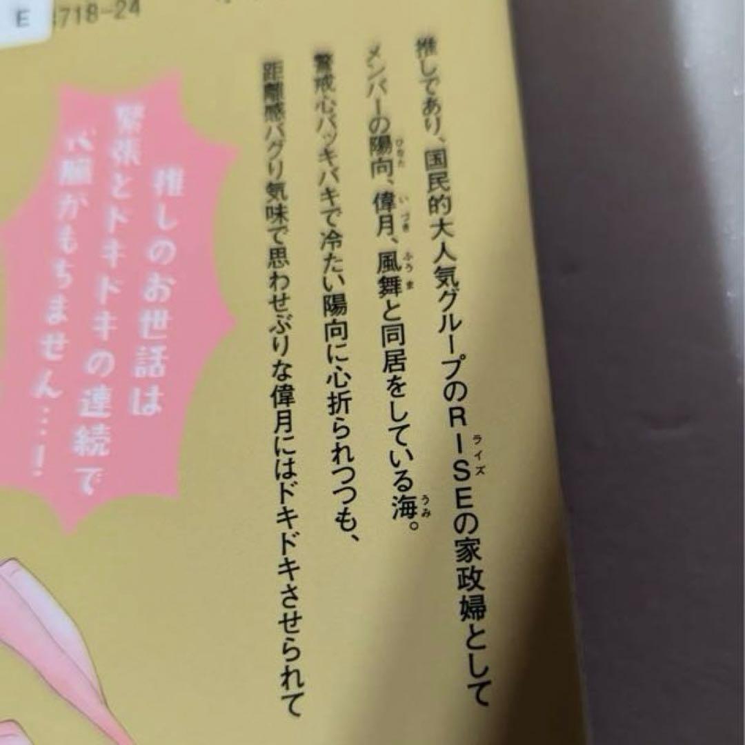 少女コミックまとめ処分 レンタル落混品　計35冊　多聞くん 王子が 四畳半の