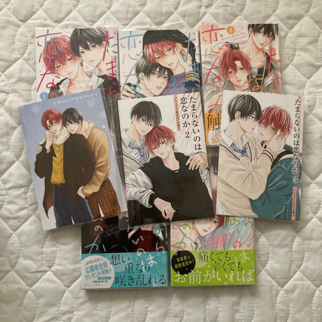 たまらないのは恋なのか 1-5巻&アニメイト特典小冊子3冊 - メルカリ