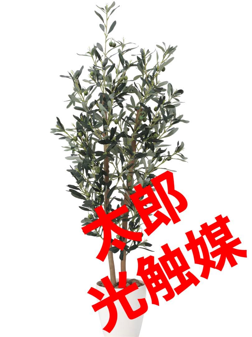 光触媒　人工観葉植物　ウォールグリーン　フェイクグリーン　オリーブ1.2 光触媒 人工観葉植物 ウォールグリーン フェイクグリーン オリーブ1.2m