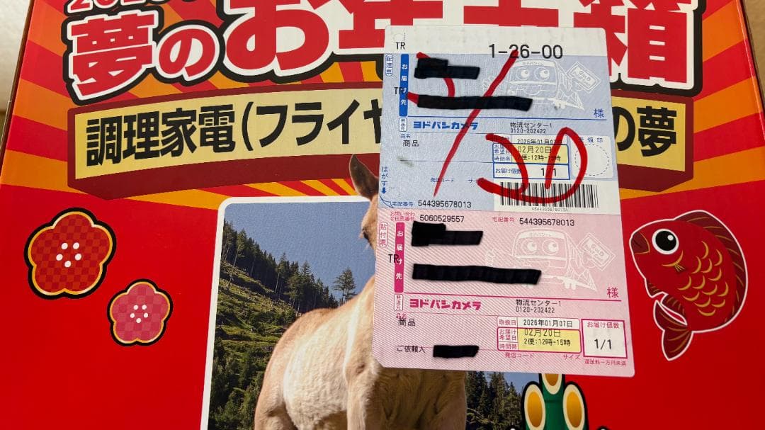 ヨドバシお年玉箱 2026年 電気圧力鍋 ノンフライヤー家電セット - メルカリ