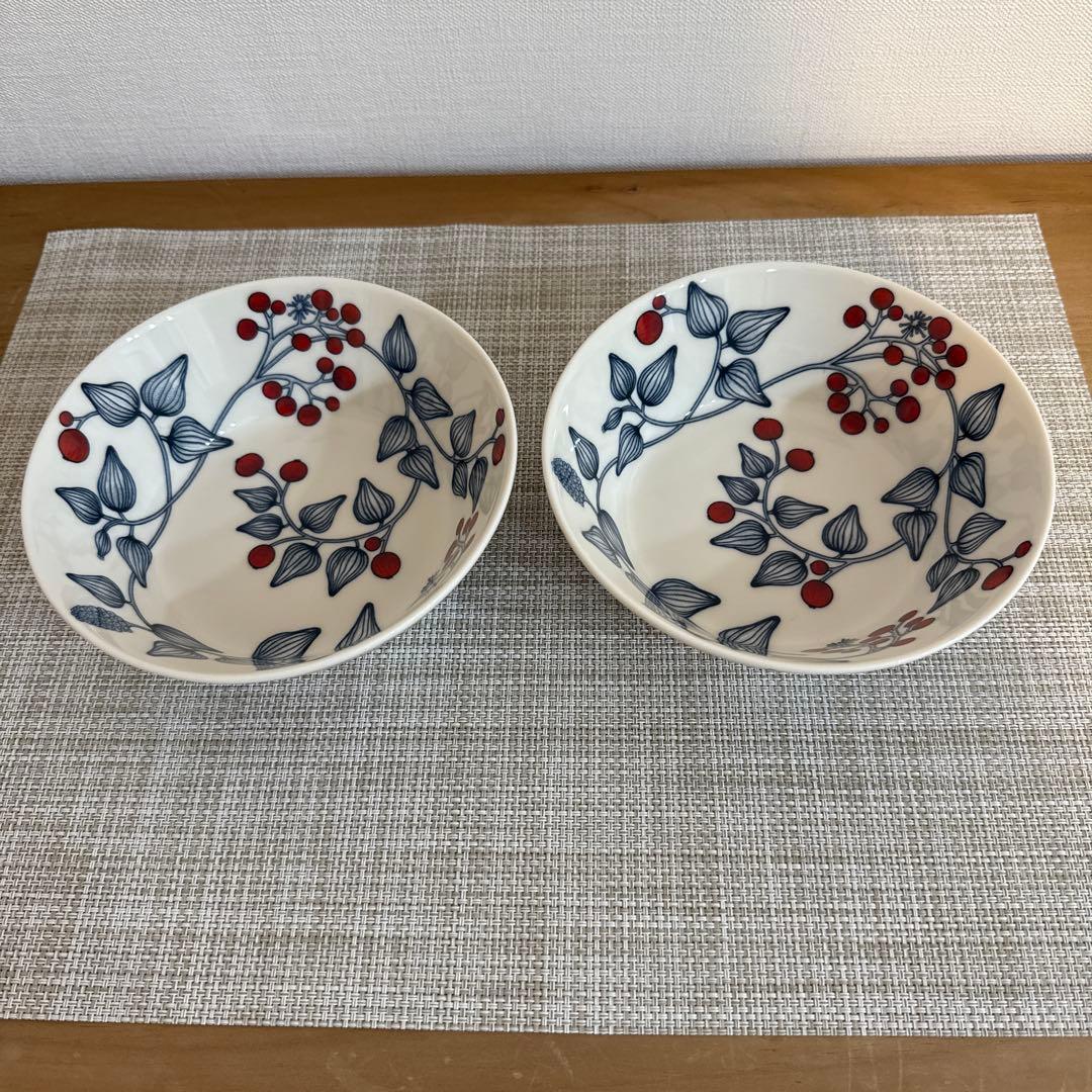 アラビア ルノ フロストベリー17cmボウル2個セット - メルカリ