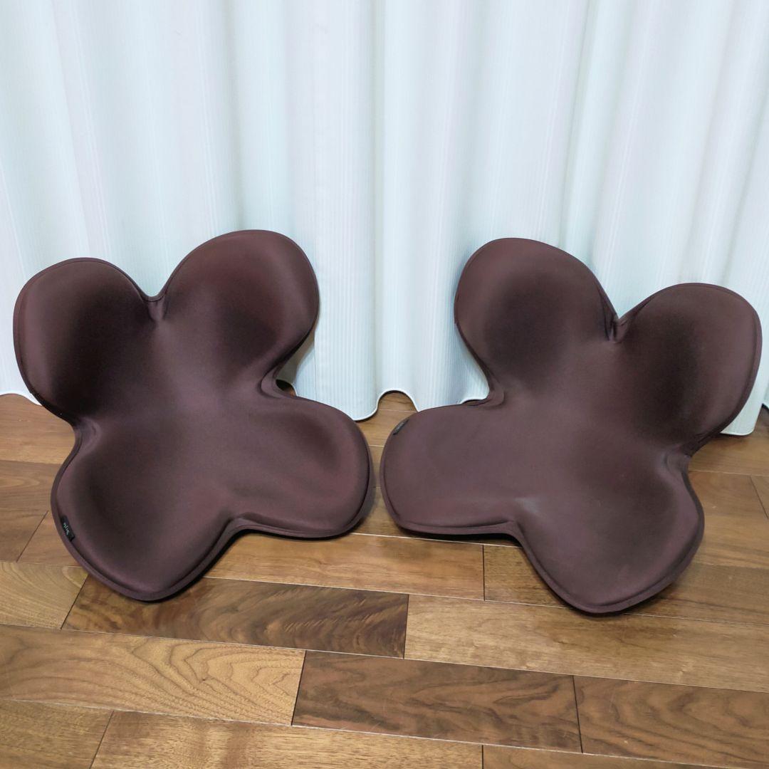 ボディメイクシート 骨盤矯正 骨盤サポート 姿勢矯正チェア MTG 2個