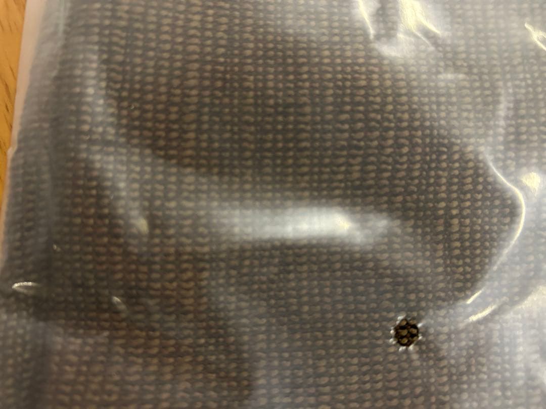 飛騨家具 ダイニングテーブル 椅子4脚セット ステルス 布団レス