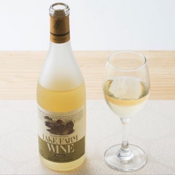 ストア 務台理作著作集 西田哲学論