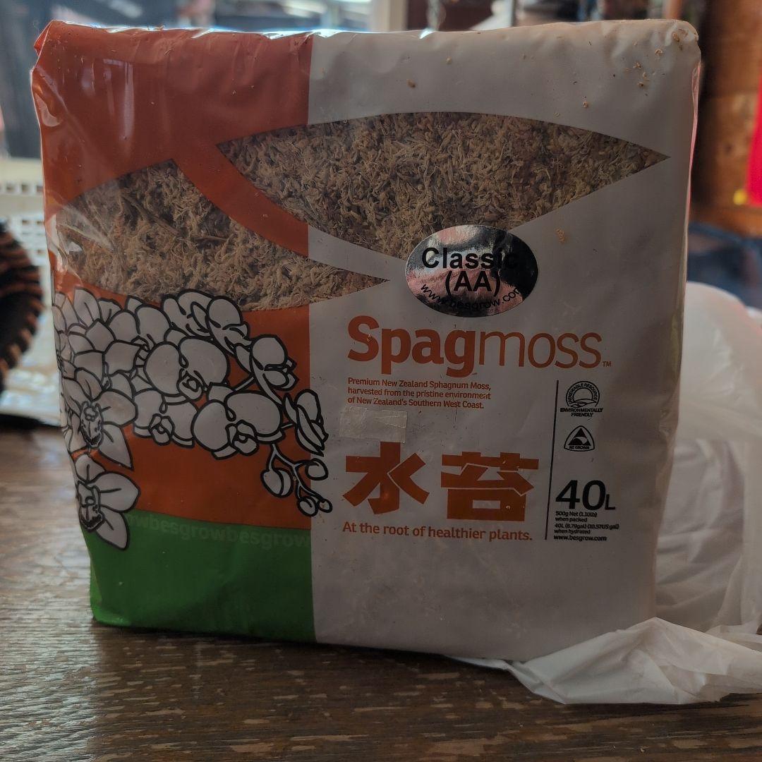 最高級 乾燥水苔 ニュージーランド産 AAAAグレード 500g - メルカリ