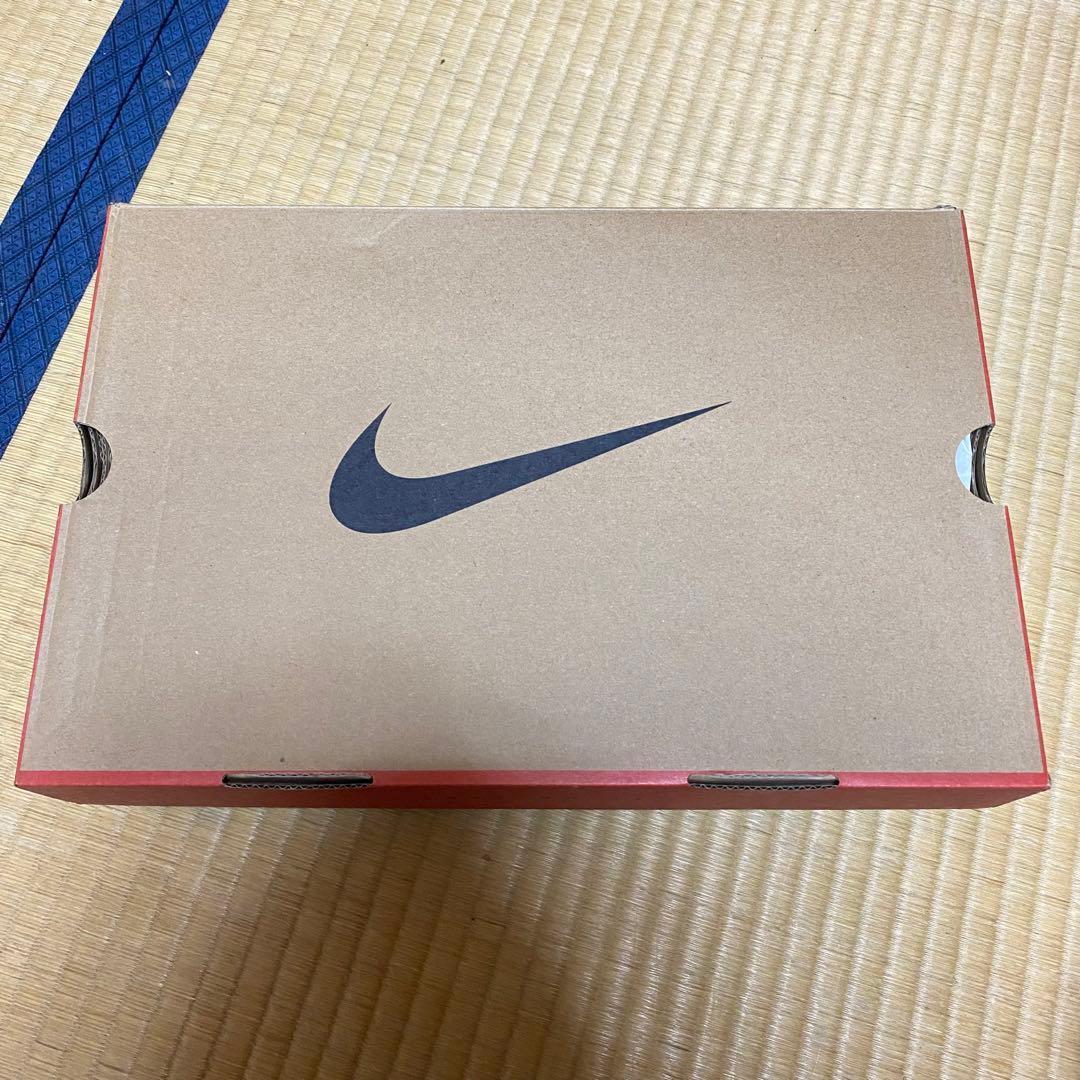 ケンドリックラマー着用 スーパーボウル Nike Air DT Max 96 - メルカリ