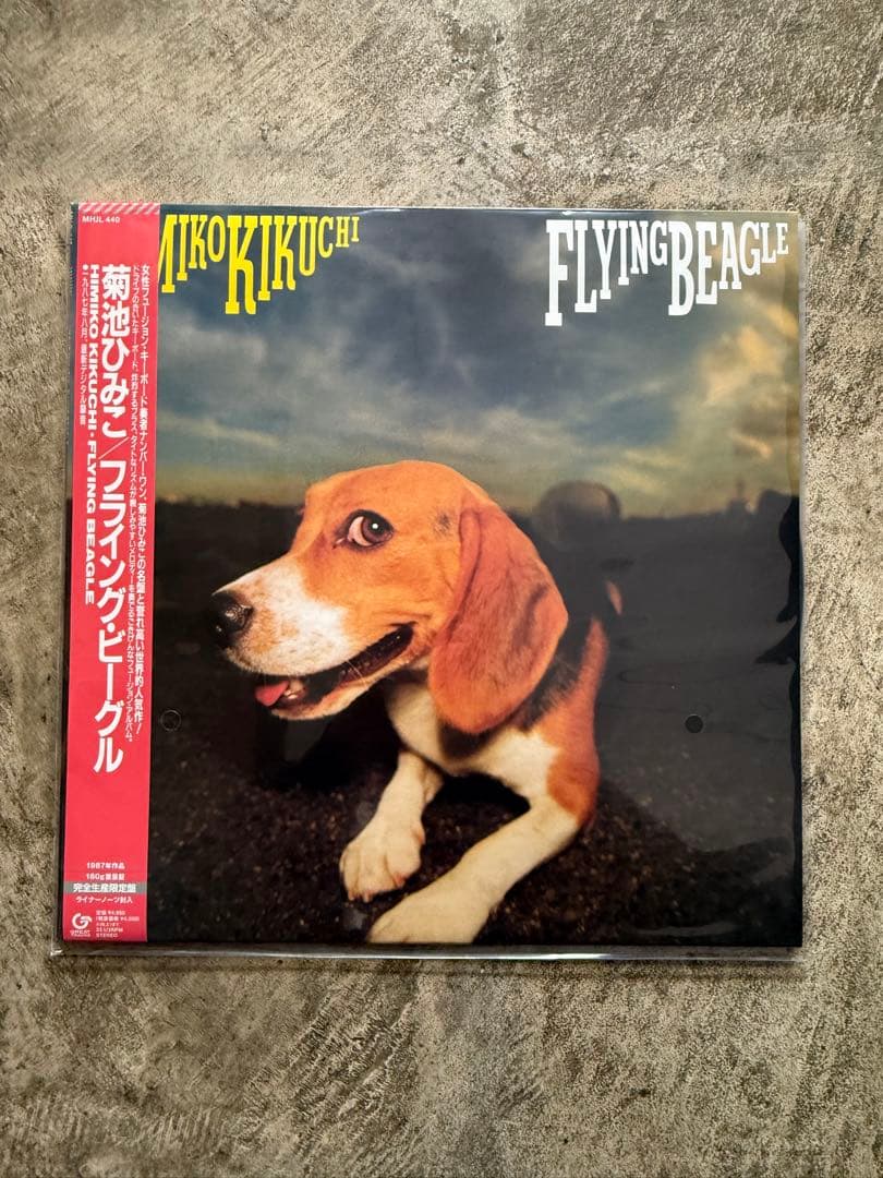 新品未使用 菊池ひろこ \"FLYING BEAGLE\" LP 菊池ひみこ – FLYING BEAGLE | CITY POP on VINYL