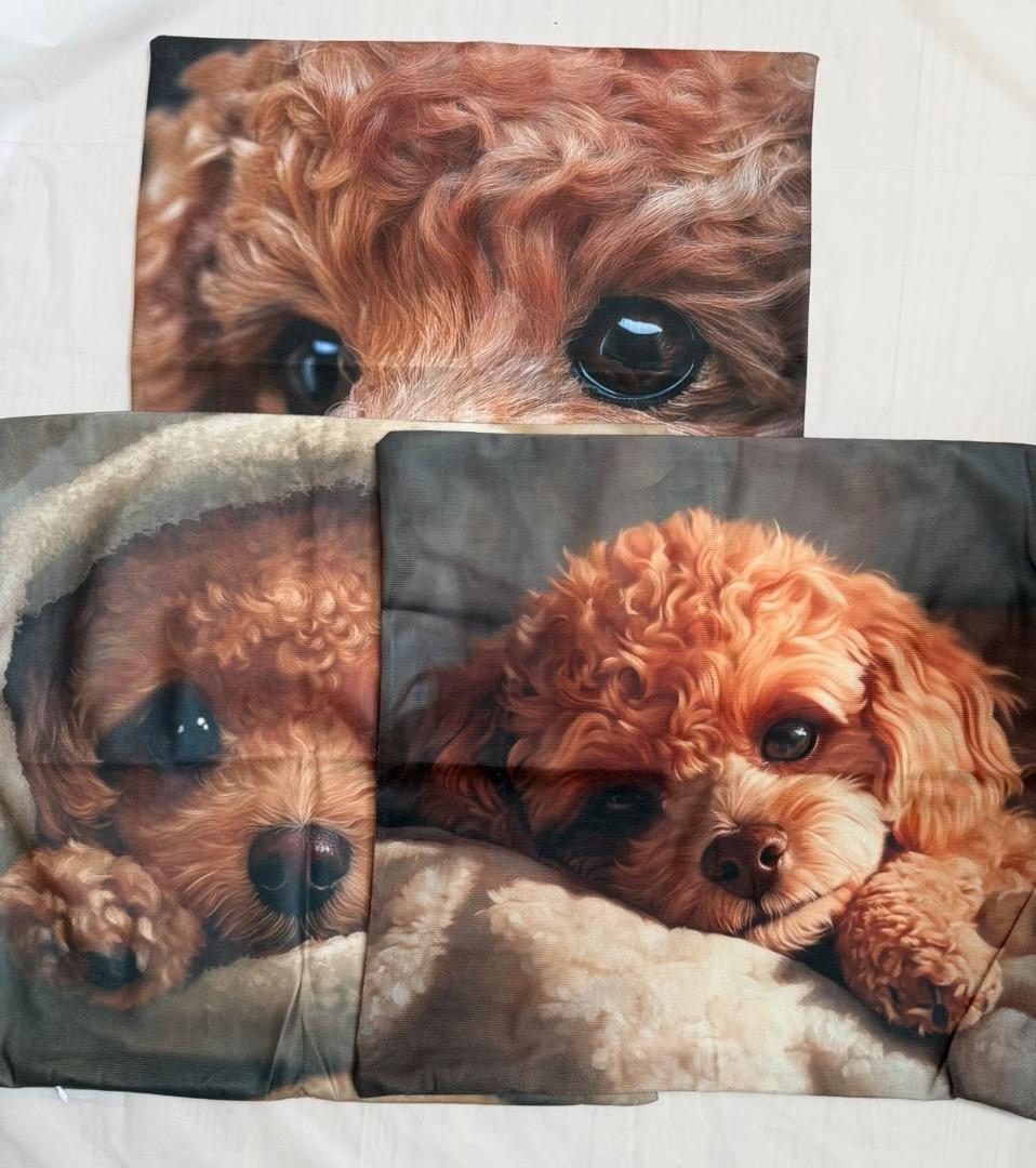 sakura様 リクエスト 3点 まとめ商品 - メルカリ