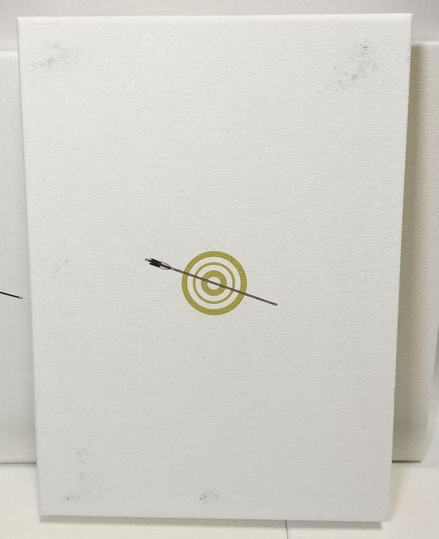 帯なし、収納BOX付きの良品♪　ツルネ -風舞高校弓道部- 5巻S　DVD