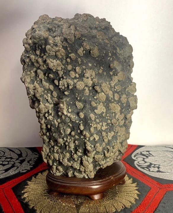 2403 宇甘川石 牡丹石 『堅葡萄』  高29(cm) 8.04kg