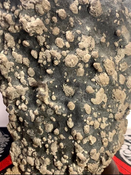 2403 宇甘川石 牡丹石 『堅葡萄』  高29(cm) 8.04kg