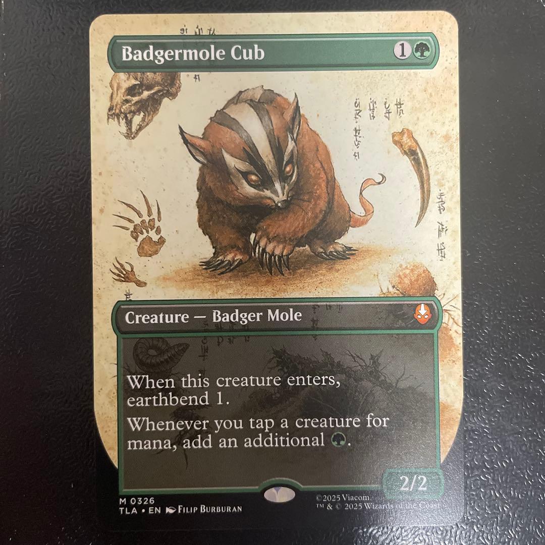 アナグマモグラの仔 英語 絵違い 1枚 カード詳細：アナグマモグラの仔