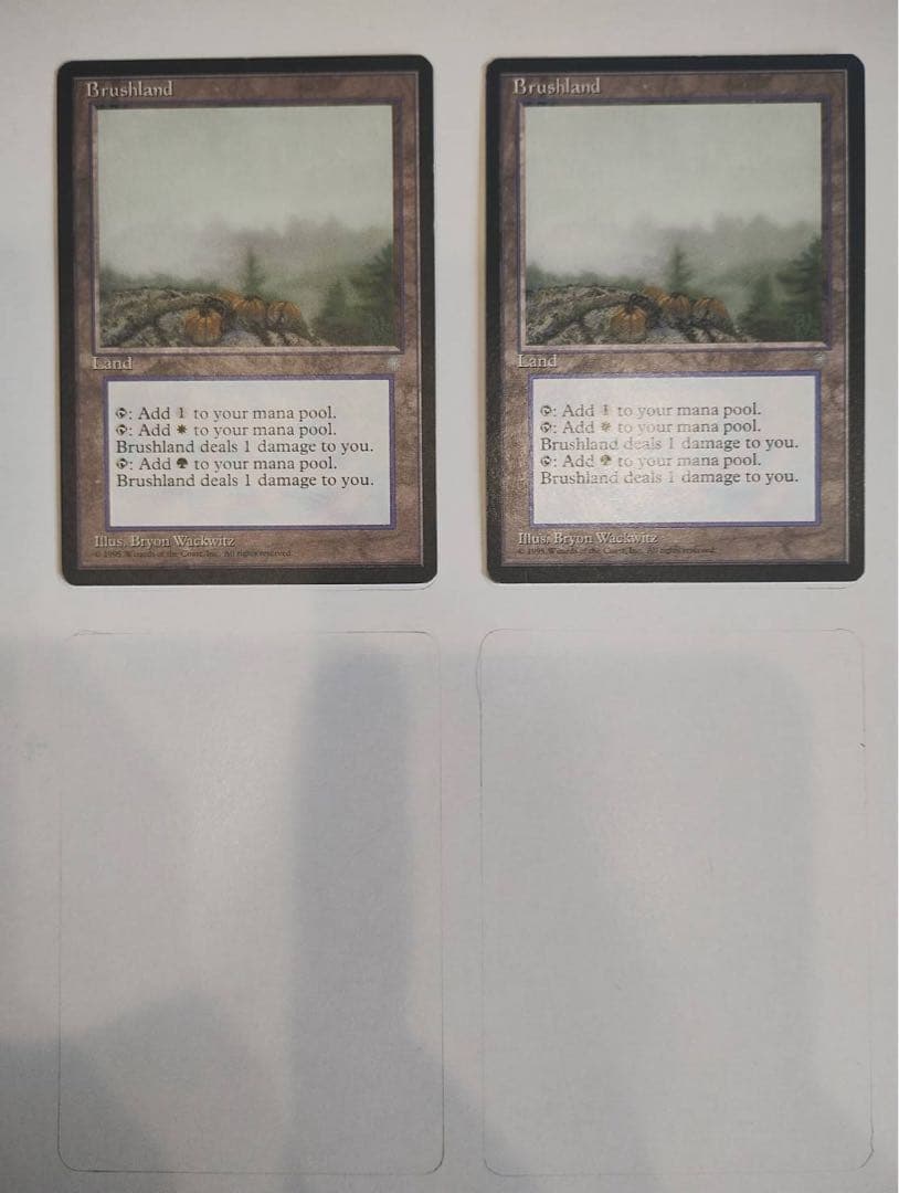 低木林地/ Brushland 2枚セット アイスエイジ版 - メルカリ