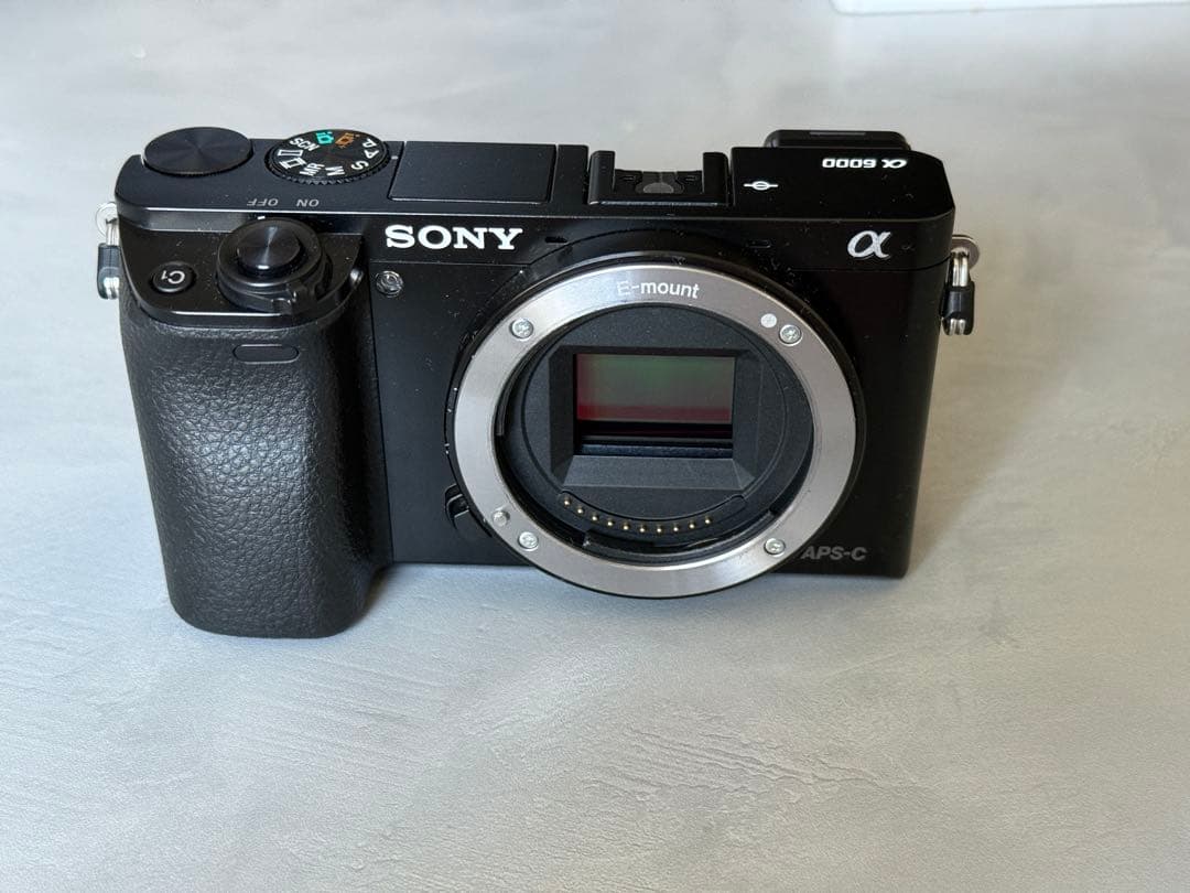 SONY α6000 ボディのみ - メルカリ