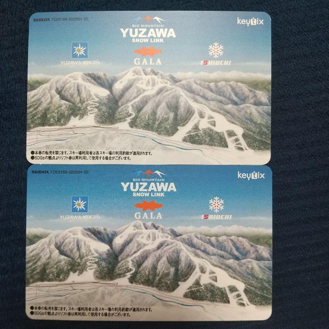 2枚セット 石打丸山スキー場 リフト券1日券 25-26 - メルカリ