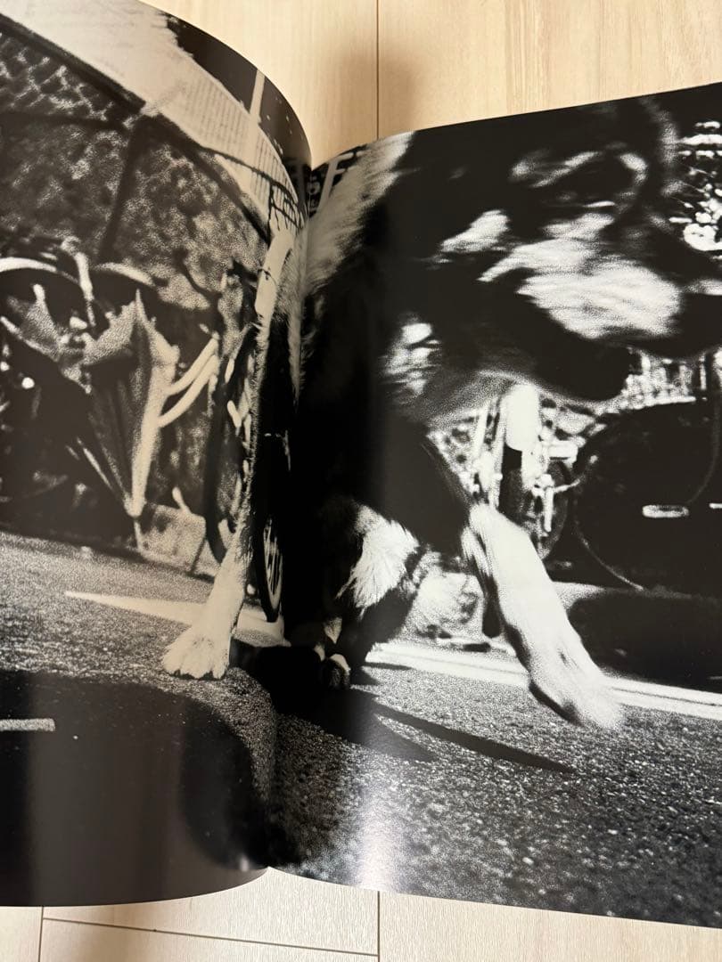 新品！直筆サイン署名！初版】森山大道 記録11号 中平卓馬 細江英公