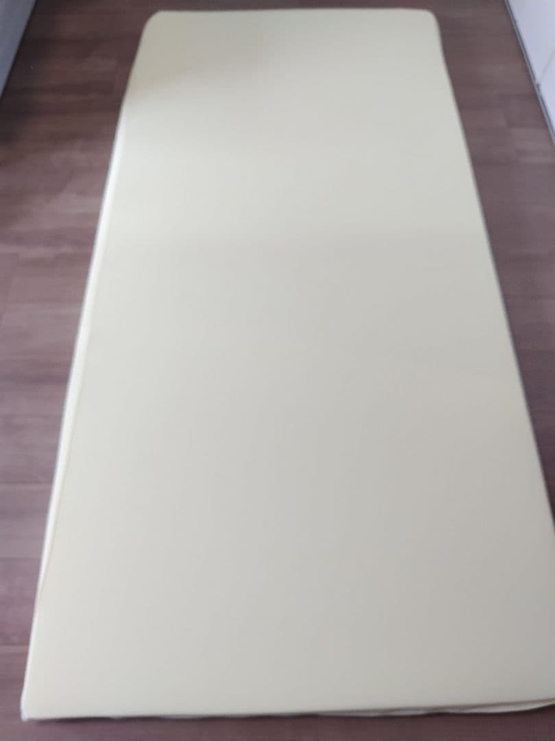 【ハートさん専用】トゥルースリーパーシングル専用シーツ付 トゥルースリーパー（True Sleeper） トゥルースリーパーオリジナル