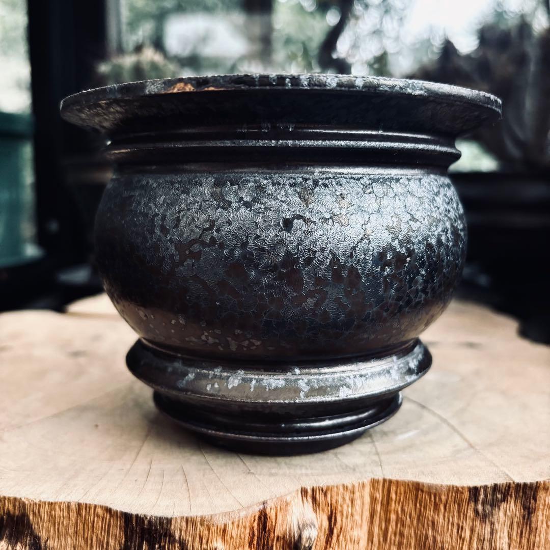 新品 山中勇人 作家鉢 植木鉢 鉄球 アガベ パキプス グラキリス 塊根