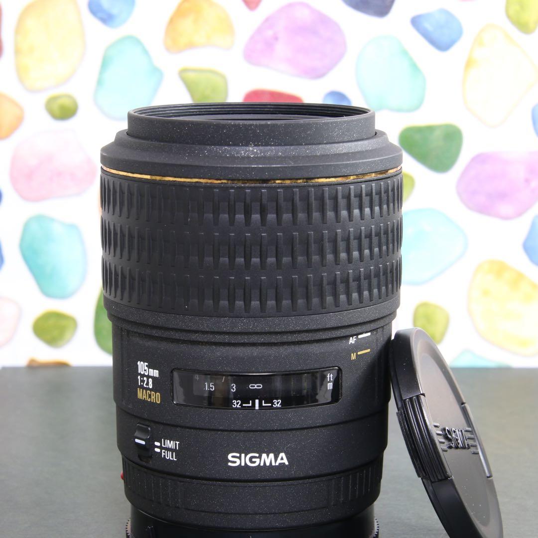 ♥︎◇高性能単焦点レンズ♪ ◇SIGMA 105mm F2.8 SONY SIGMA（シグマ） 105mm F2.8 DG DN MACRO | Art 実写レビュー | フォト