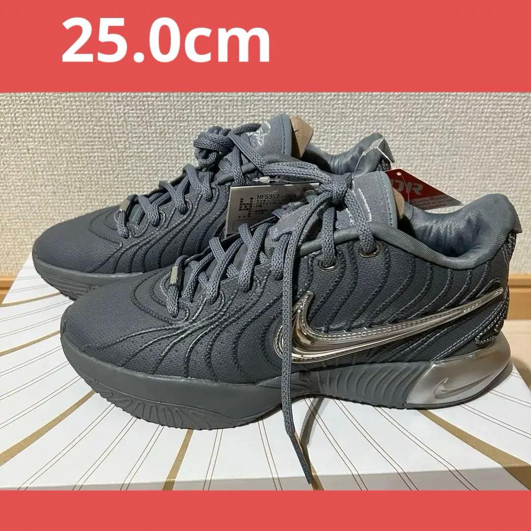 新品】NIKE ナイキ レブロン21EP 25cm - メルカリ