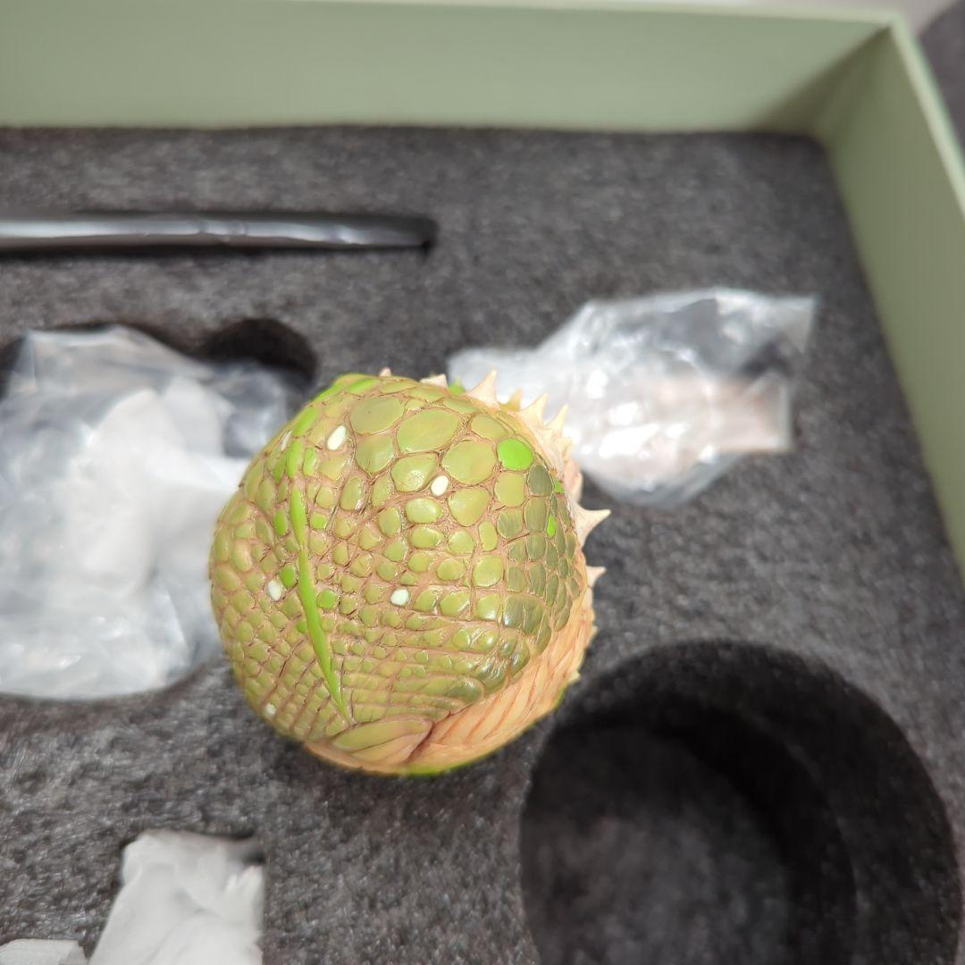 観葉植物 コーデックス グラキリス アガベ オベサ 爬虫類 フィギュア