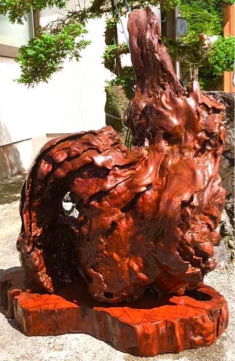天然木 木の根 置物 オブジェ - メルカリ