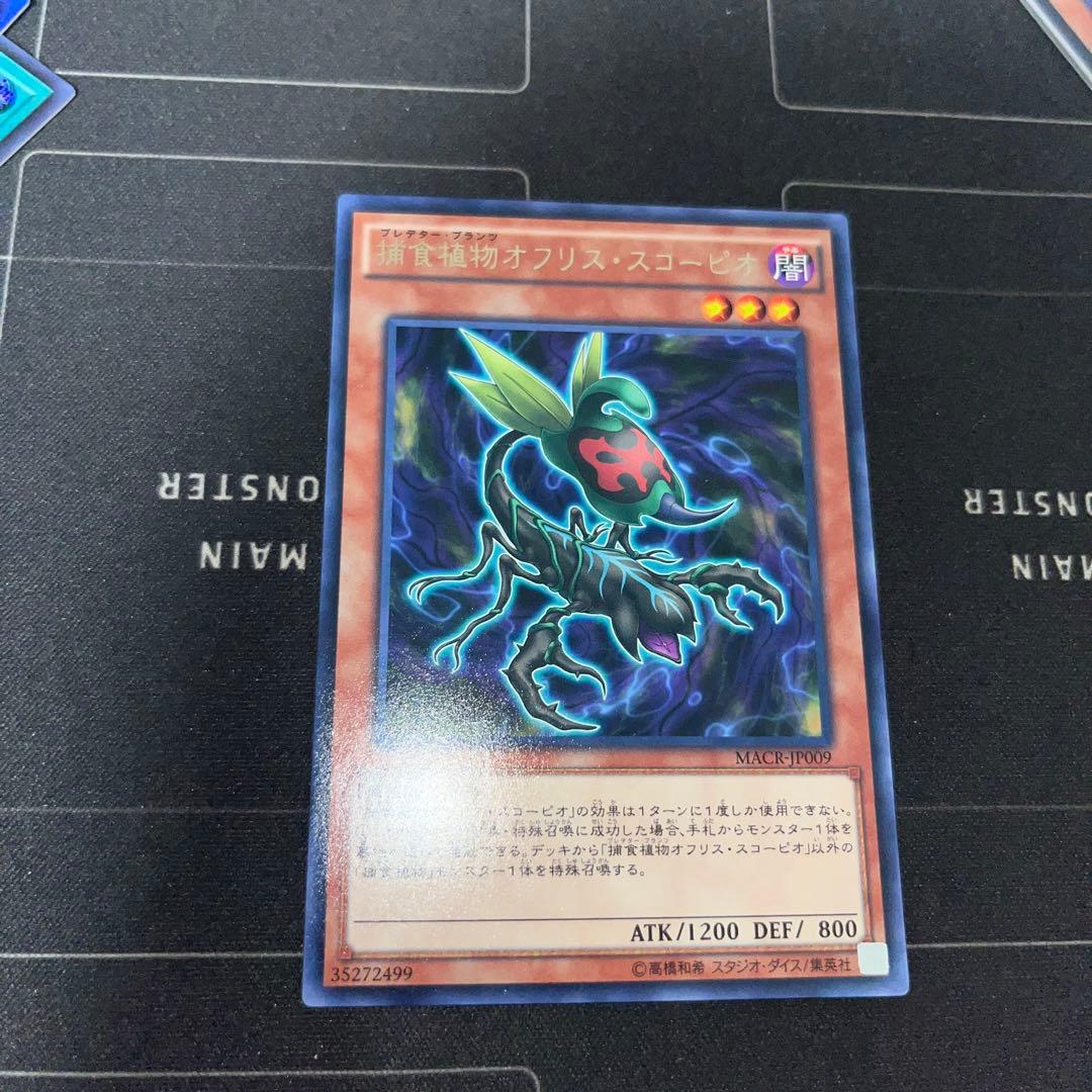 遊戯王 捕食植物 オフリススコーピオ - メルカリ