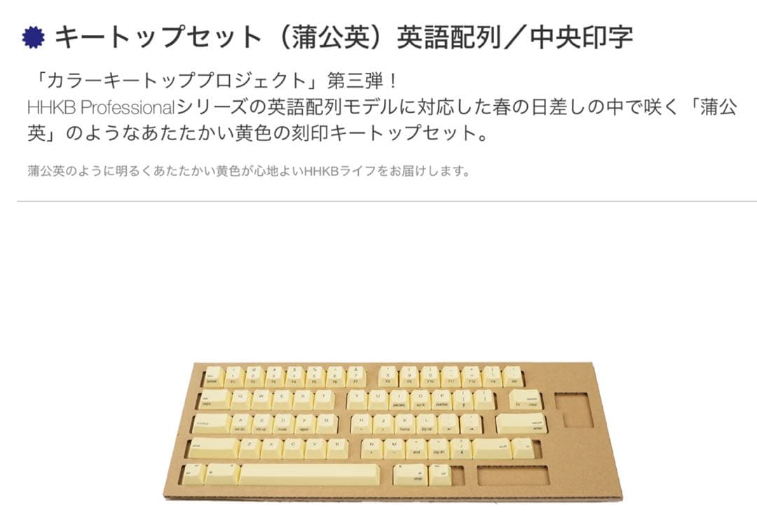 特別 幽遊白書 ゴールドカード 22k gold card ハイパーポリス