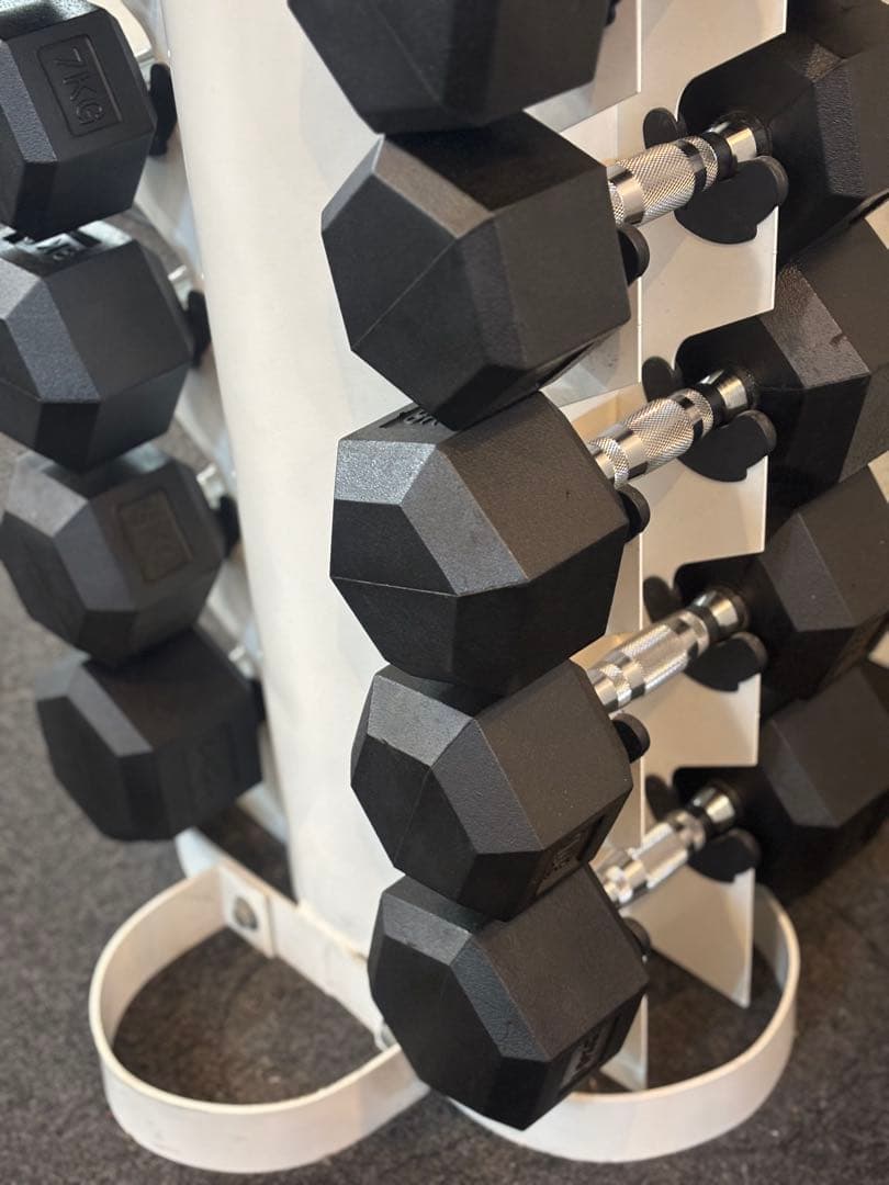 専用！ダンベルタワー ダンベル1〜10㎏セット