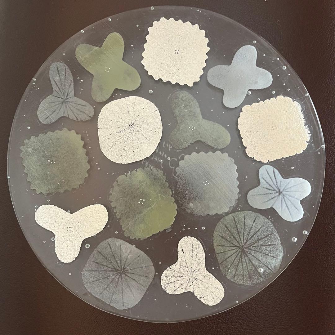 【新品】八木麻子　ブーケ　ブルーグレー　花 うつわディクショナリー#13 アートのような八木麻子さんのガラス