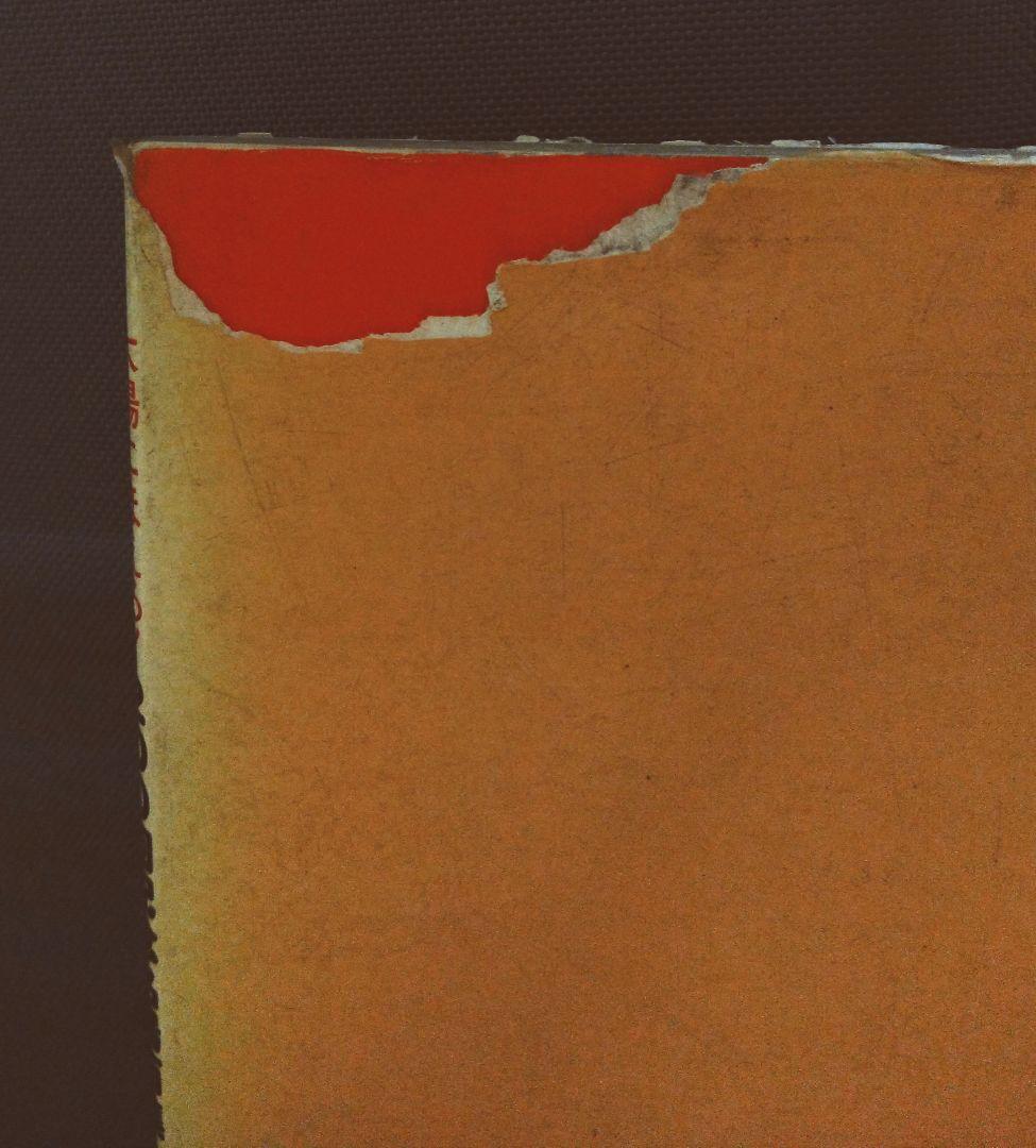 太陽に吠えろ!　写真集　９册セット