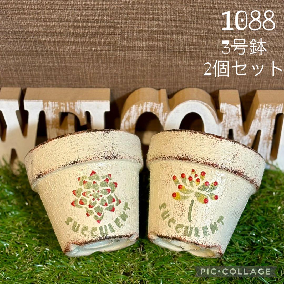 リメ鉢<1088 3号鉢2個セット 乙女心 エケベリア 多肉植物 底穴大きめ
