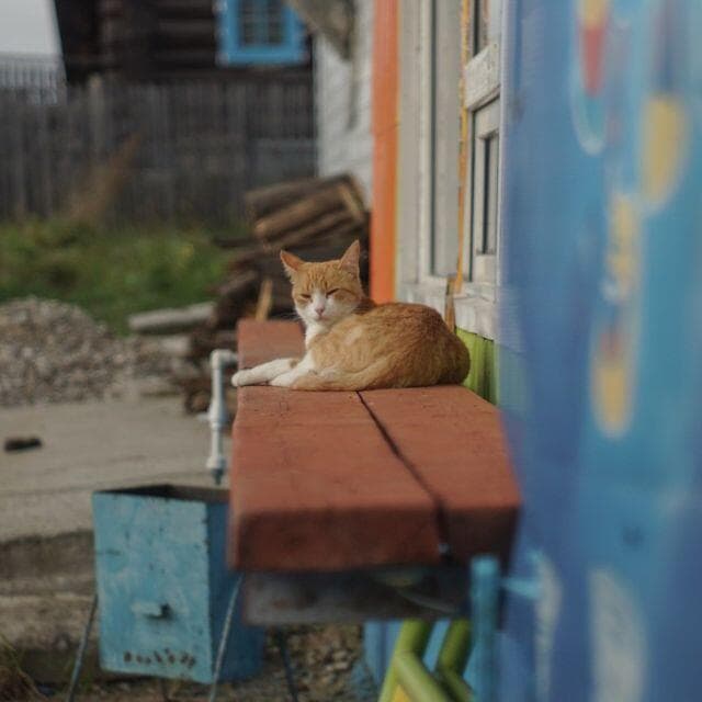 105 未使用 デッドストック ジュピター 8 2/50 L39アダプター付 - メルカリ