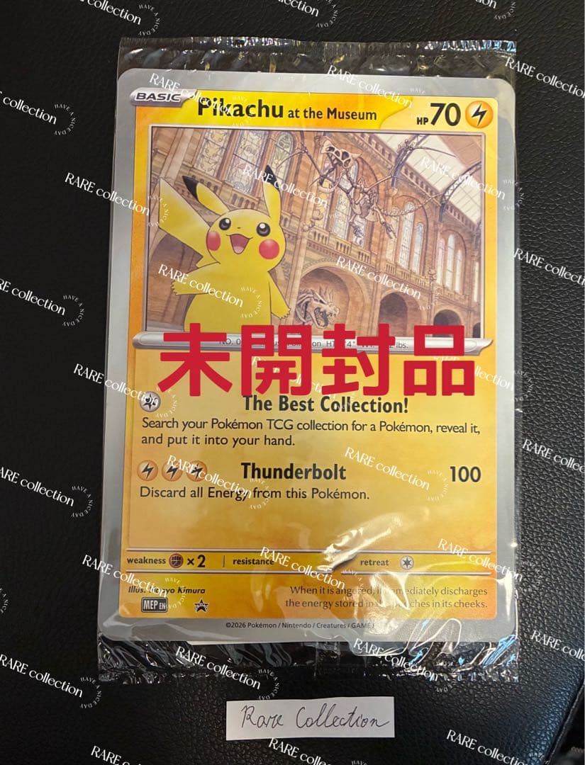 Pikachu at the Museum ピカチュウ ロンドン自然史博物館17 - メルカリ