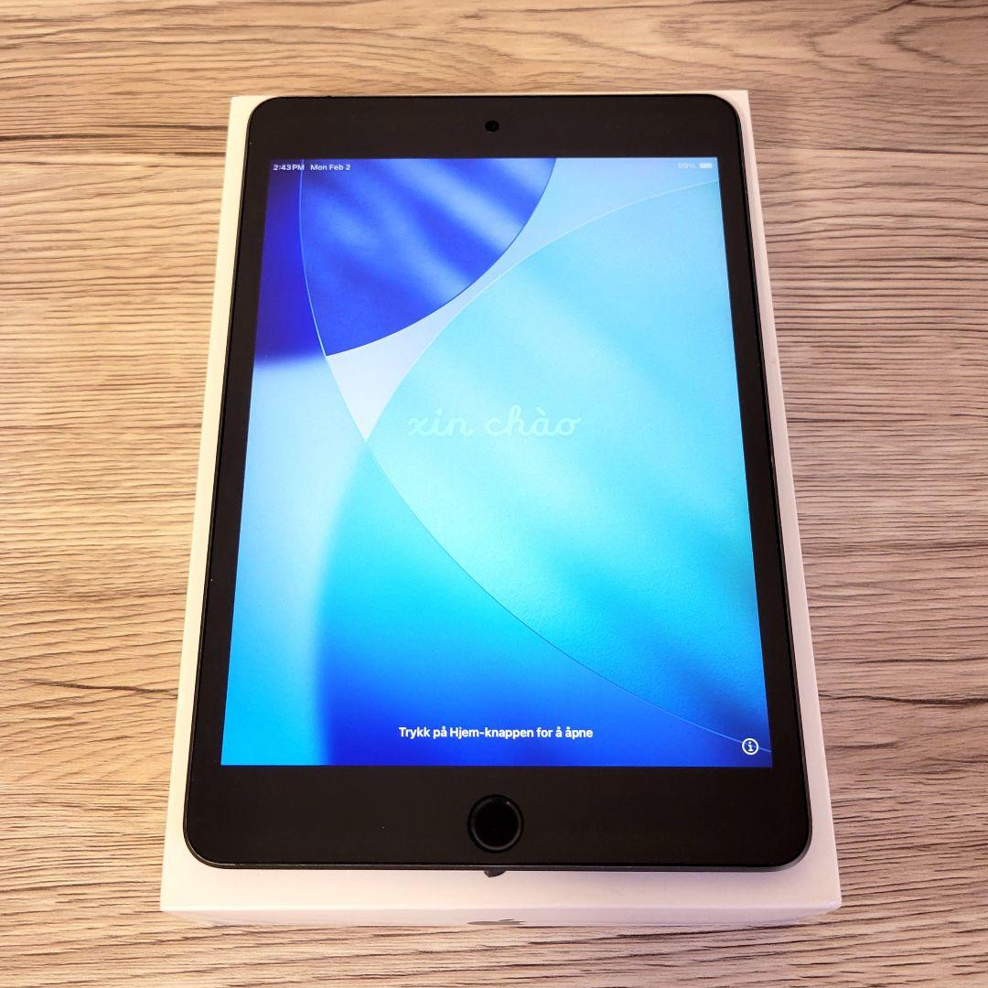 Apple iPad mini5 Cellularモデル スペースグレー iPad mini 5 Wi-Fi + Cellular 256GB - スペースグレイ [整備済製品