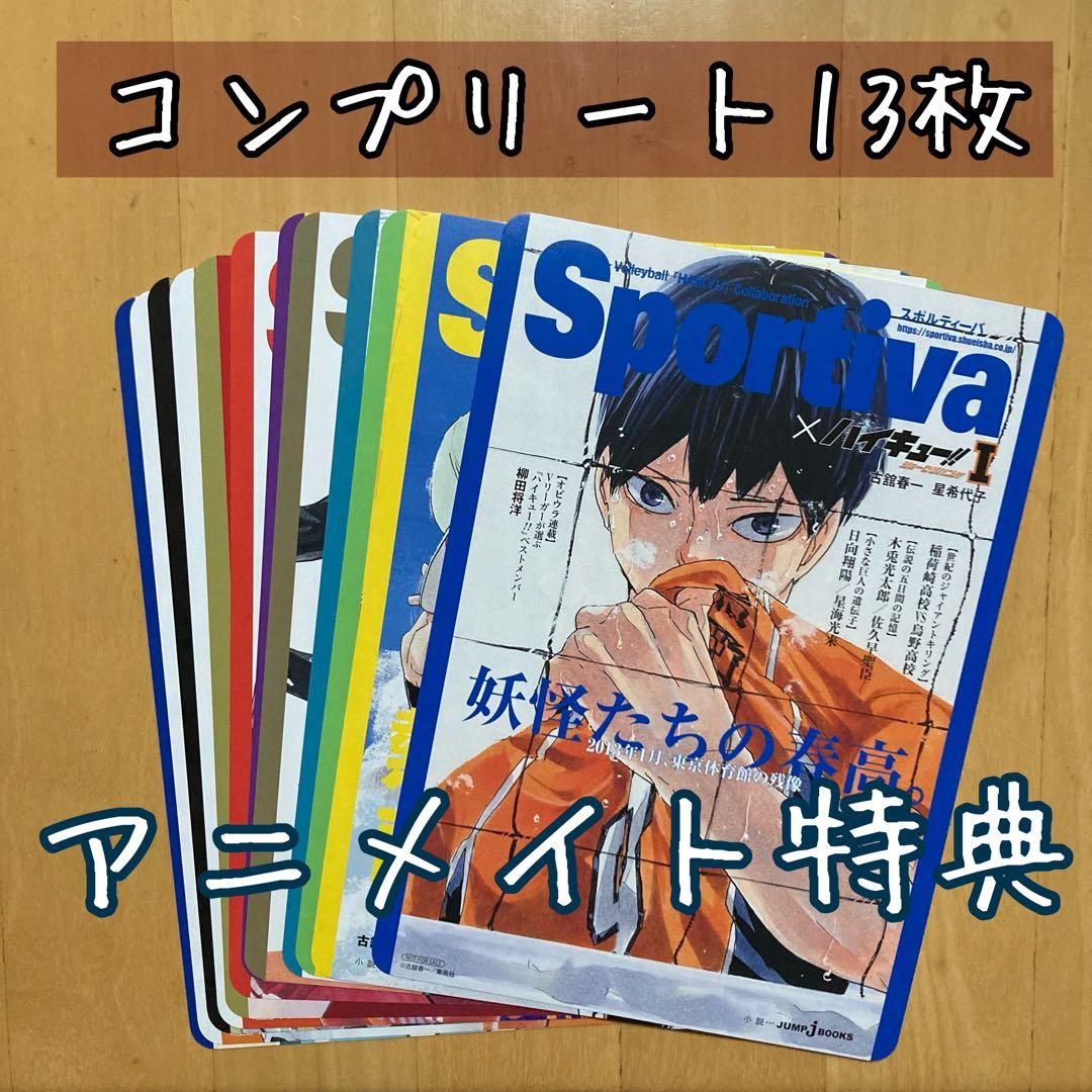 全種 13枚 特典 アニメイト ハイキュー ショーセツバン ビジュアル