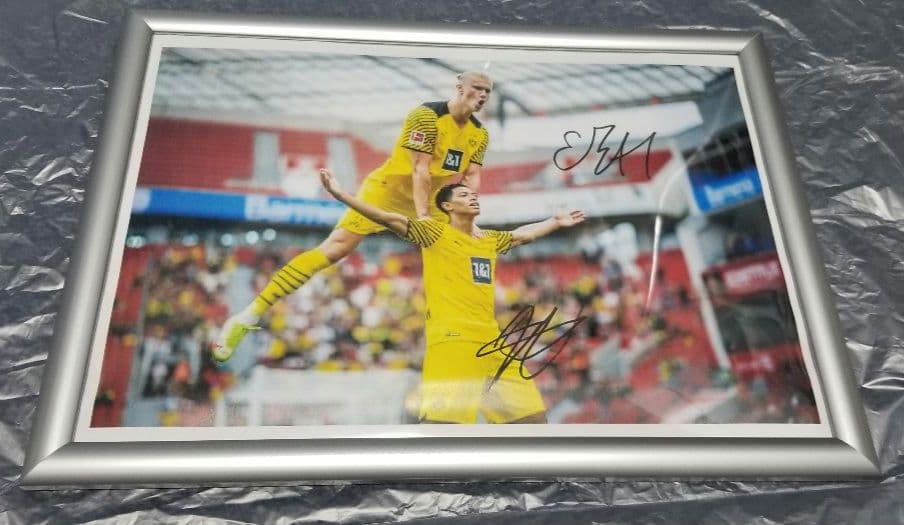 ハーランド ベリンガム 直筆サイン 普通紙 - メルカリ